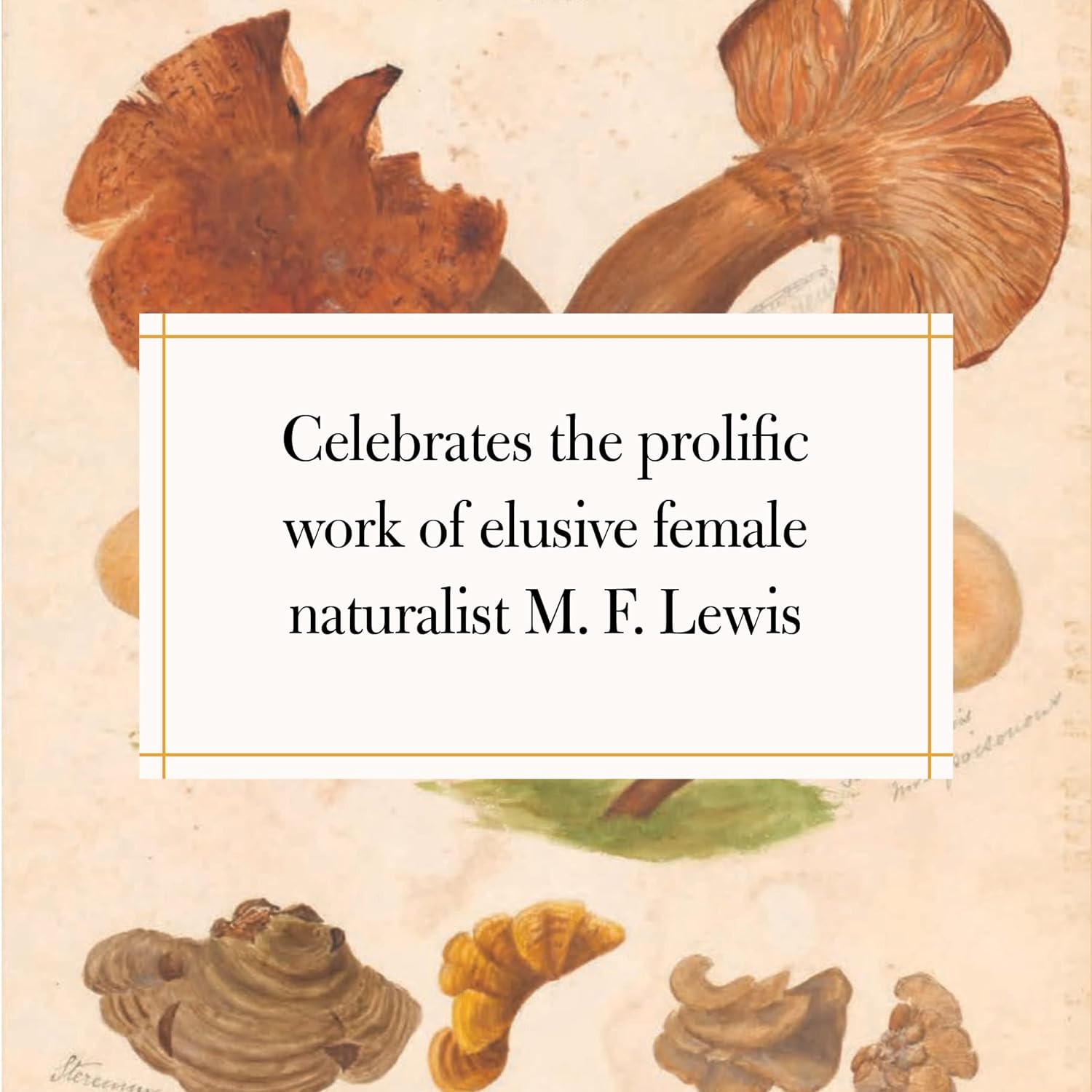 Fungi Collected in Shropshire and Other Neighbourhoods : A Victorian Woman's Illustrated Field Notes