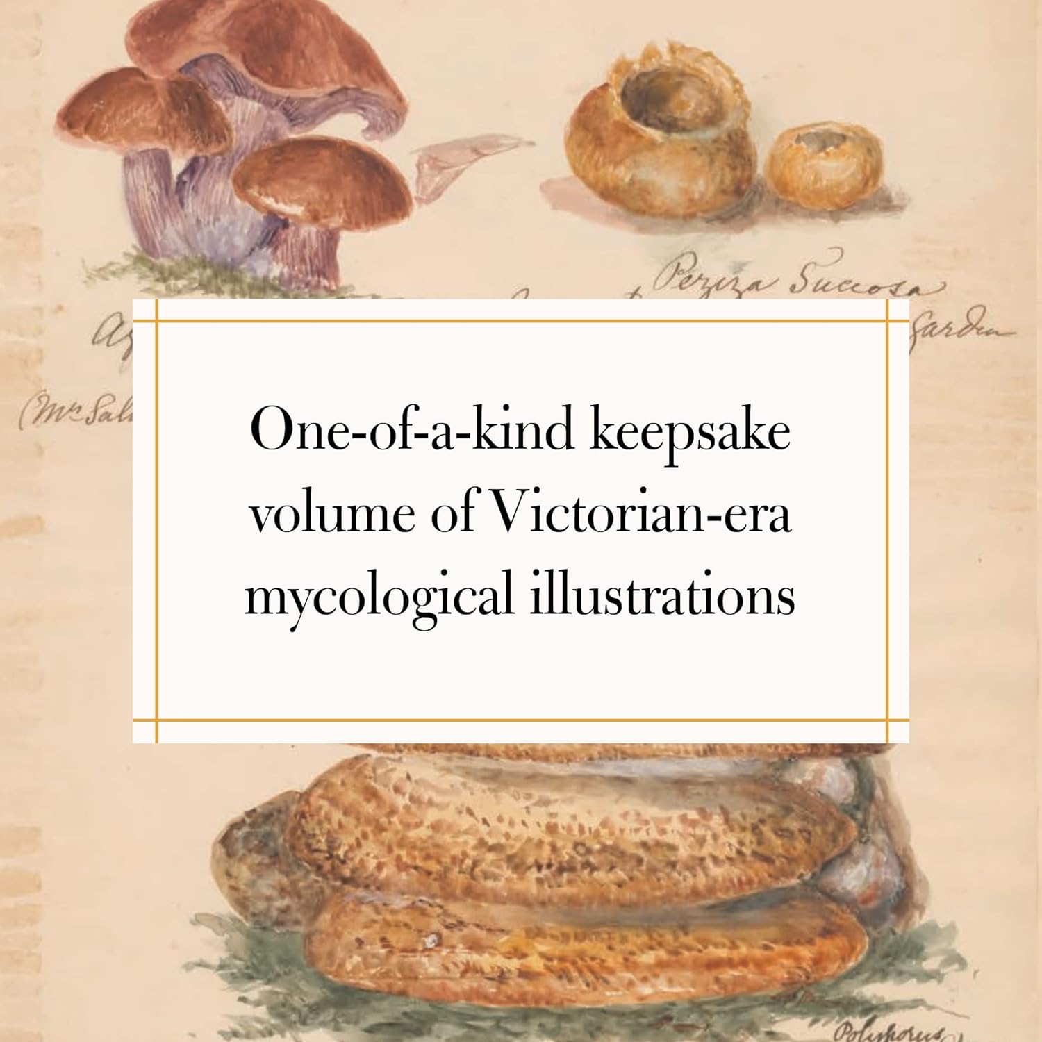 Fungi Collected in Shropshire and Other Neighbourhoods : A Victorian Woman's Illustrated Field Notes