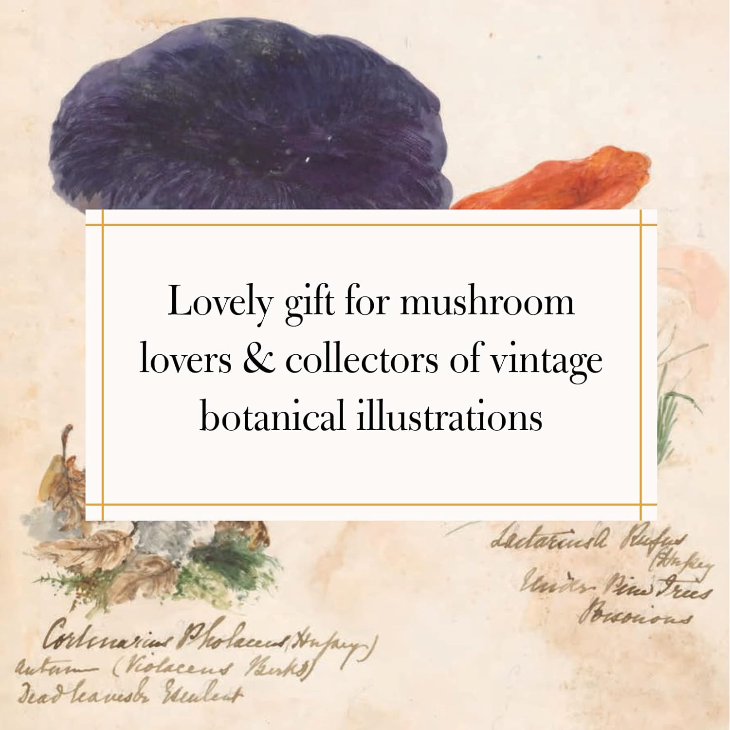 Fungi Collected in Shropshire and Other Neighbourhoods : A Victorian Woman's Illustrated Field Notes