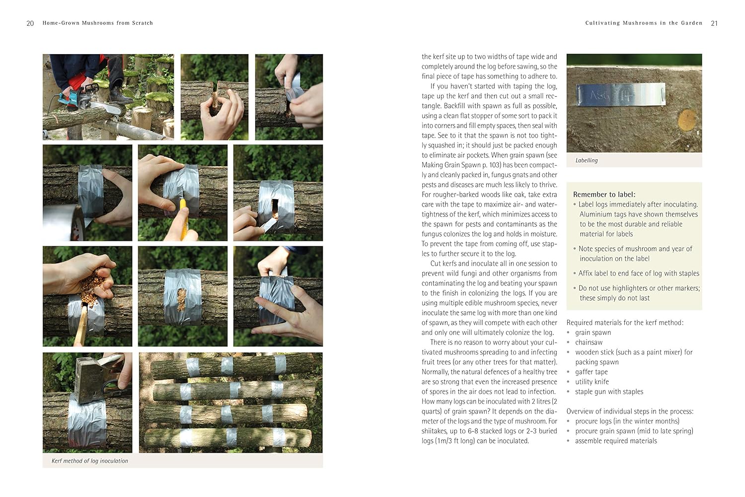 Home-Grown Mushrooms from Scratch : A Practical Guide to Growing Mushrooms Outside and Indoors