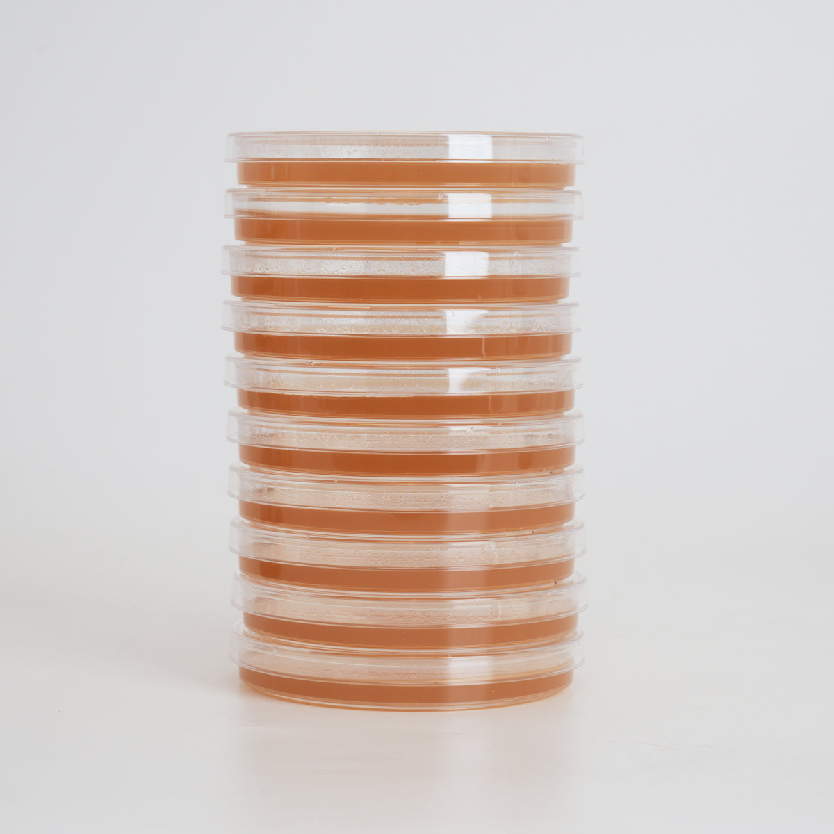 Potato Dextrose Agar (PDA) Petri Dishes for Mushroom Mycelium Cultivation (10pk)