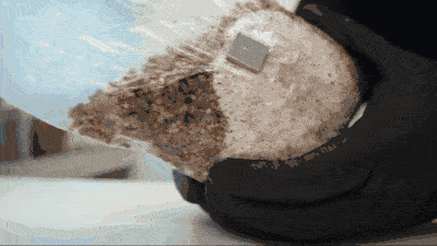 How much grain spawn to add?