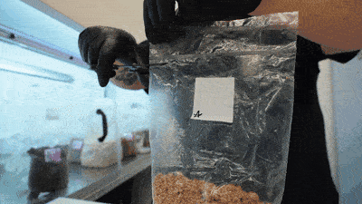 Step 2: Open your grain bag