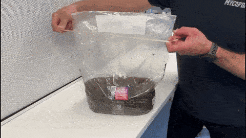 Step 8: Elastic Band