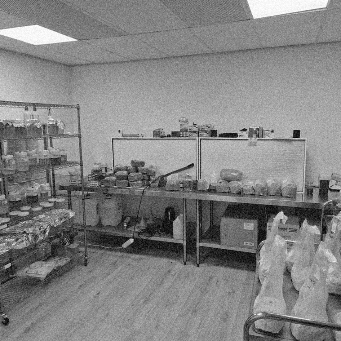 Professional aseptic lab work
