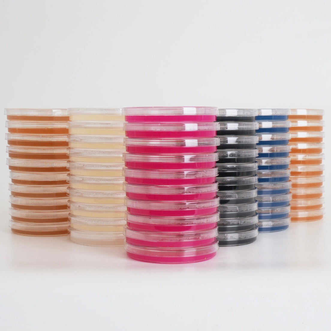 Agar Anarchy: Random Pre-Poured Agar Multipack (10pk)