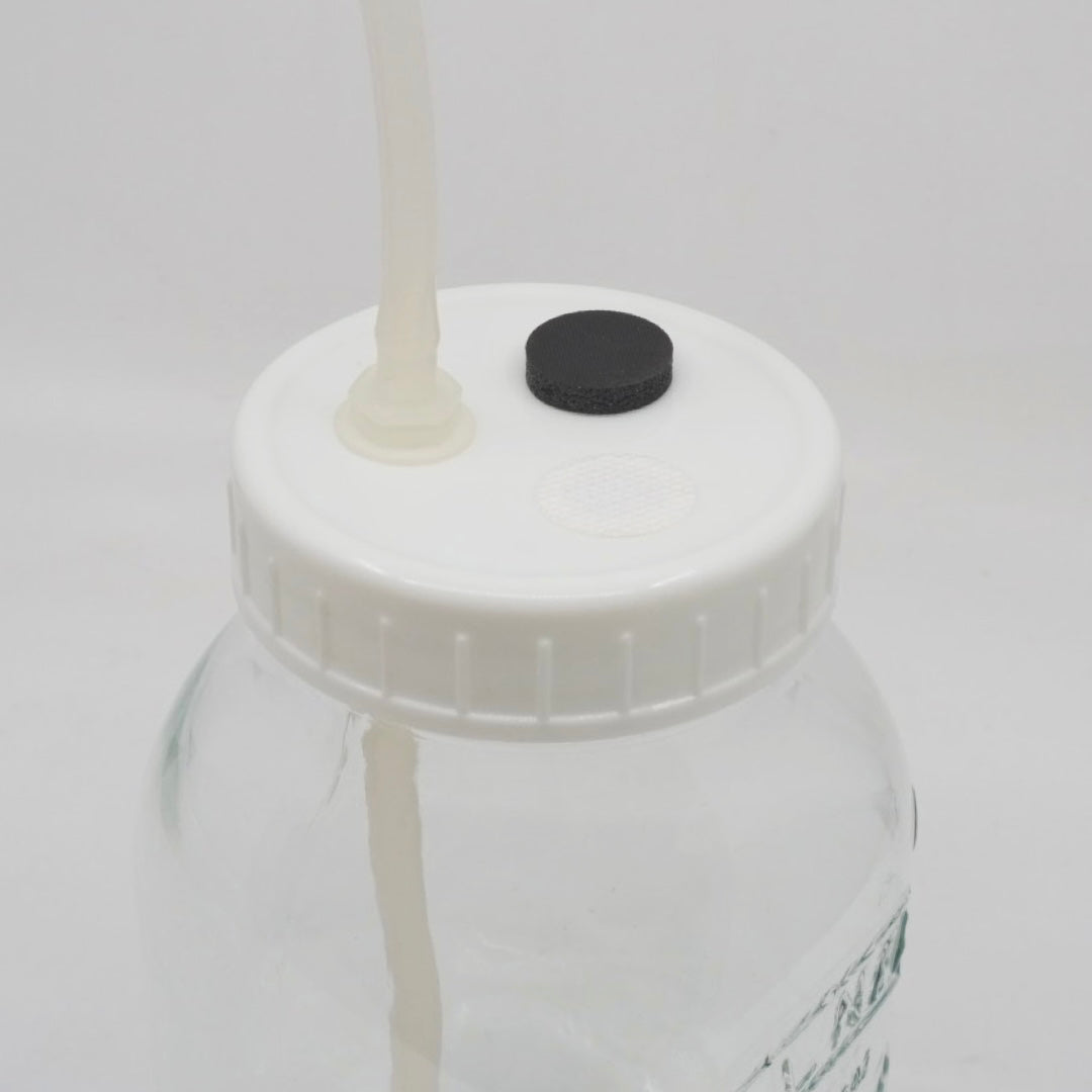 Liquid Culture Lids