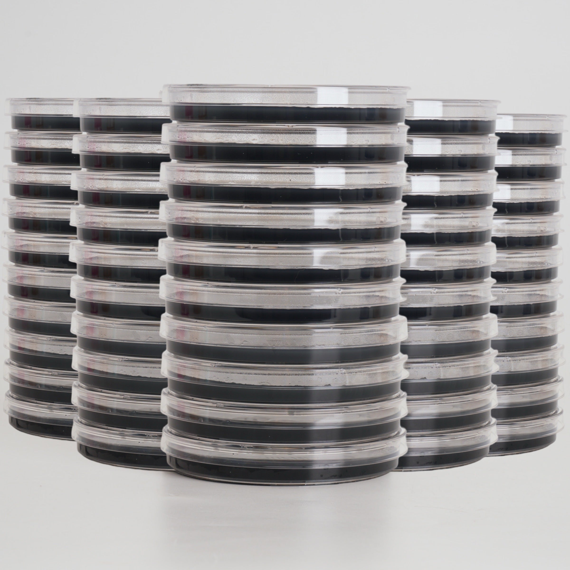 Potato Dextrose Agar (PDA) Petri Dishes for Mushroom Mycelium Cultivation (10pk)