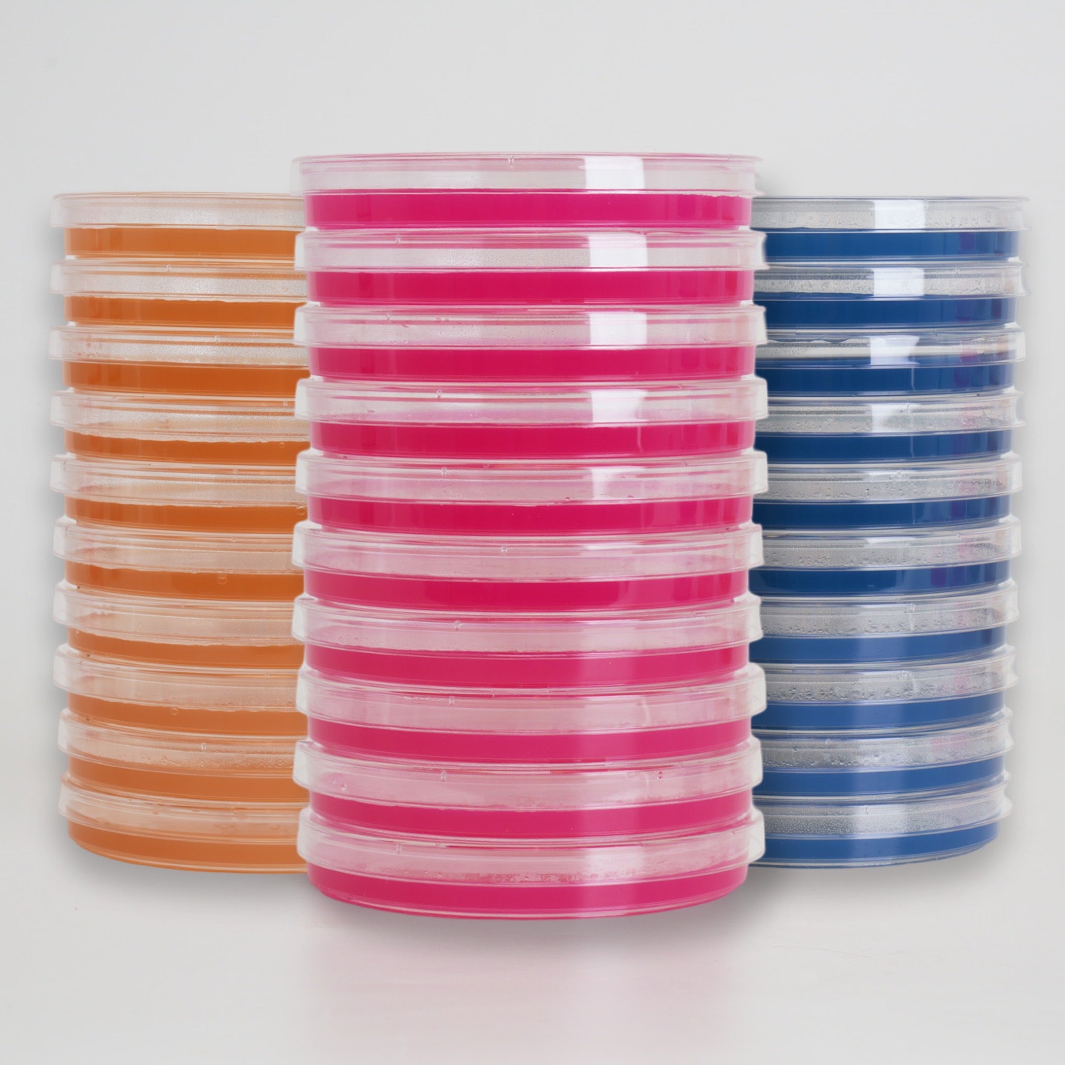 Malt Extract Agar (MEA) Plates For Mushroom Mycelium Cultivation (10pk)