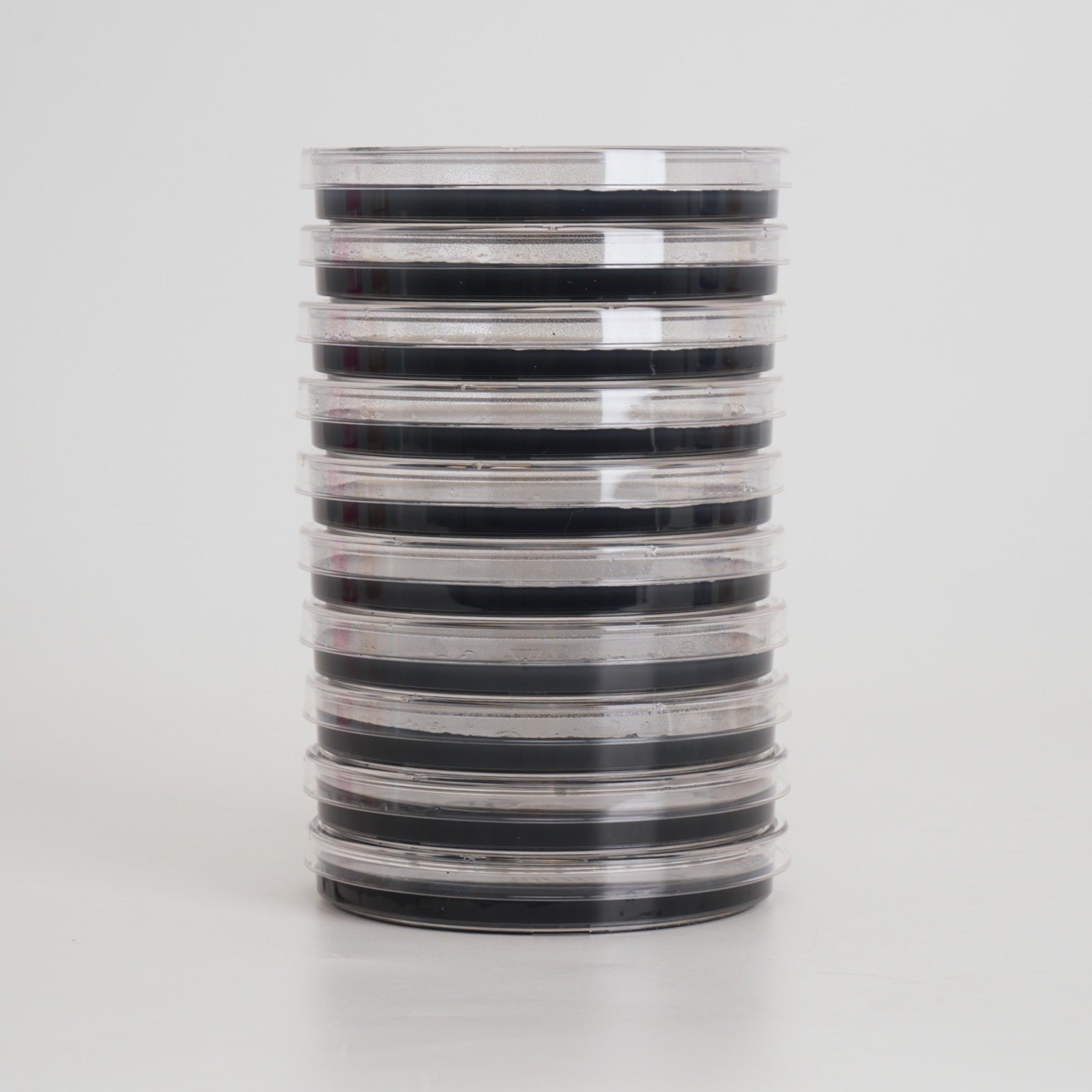 Potato Dextrose Agar (PDA) Petri Dishes for Mushroom Mycelium Cultivation (10pk)