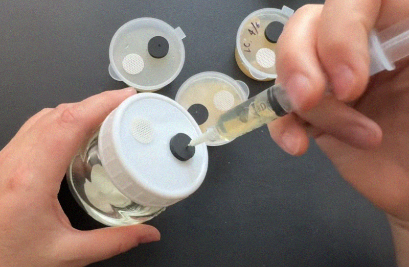 Inoculate the jar