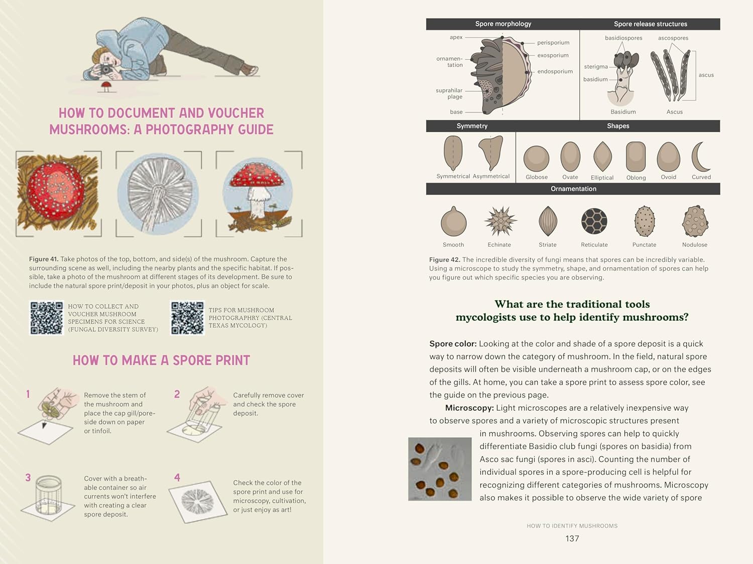 Dr. Fun Guy's Passport to Kingdom Fungi: A Scientist's Guide to the Wild and Wonderful World of Mushrooms, Molds, and More
