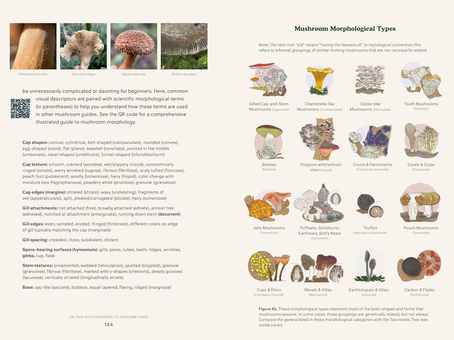 Dr. Fun Guy's Passport to Kingdom Fungi: A Scientist's Guide to the Wild and Wonderful World of Mushrooms, Molds, and More