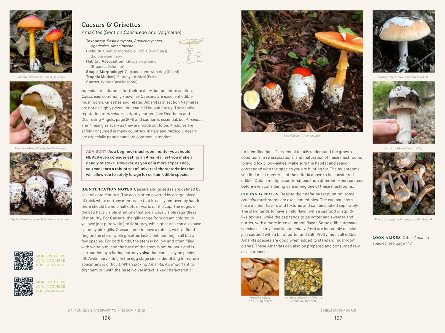 Dr. Fun Guy's Passport to Kingdom Fungi: A Scientist's Guide to the Wild and Wonderful World of Mushrooms, Molds, and More