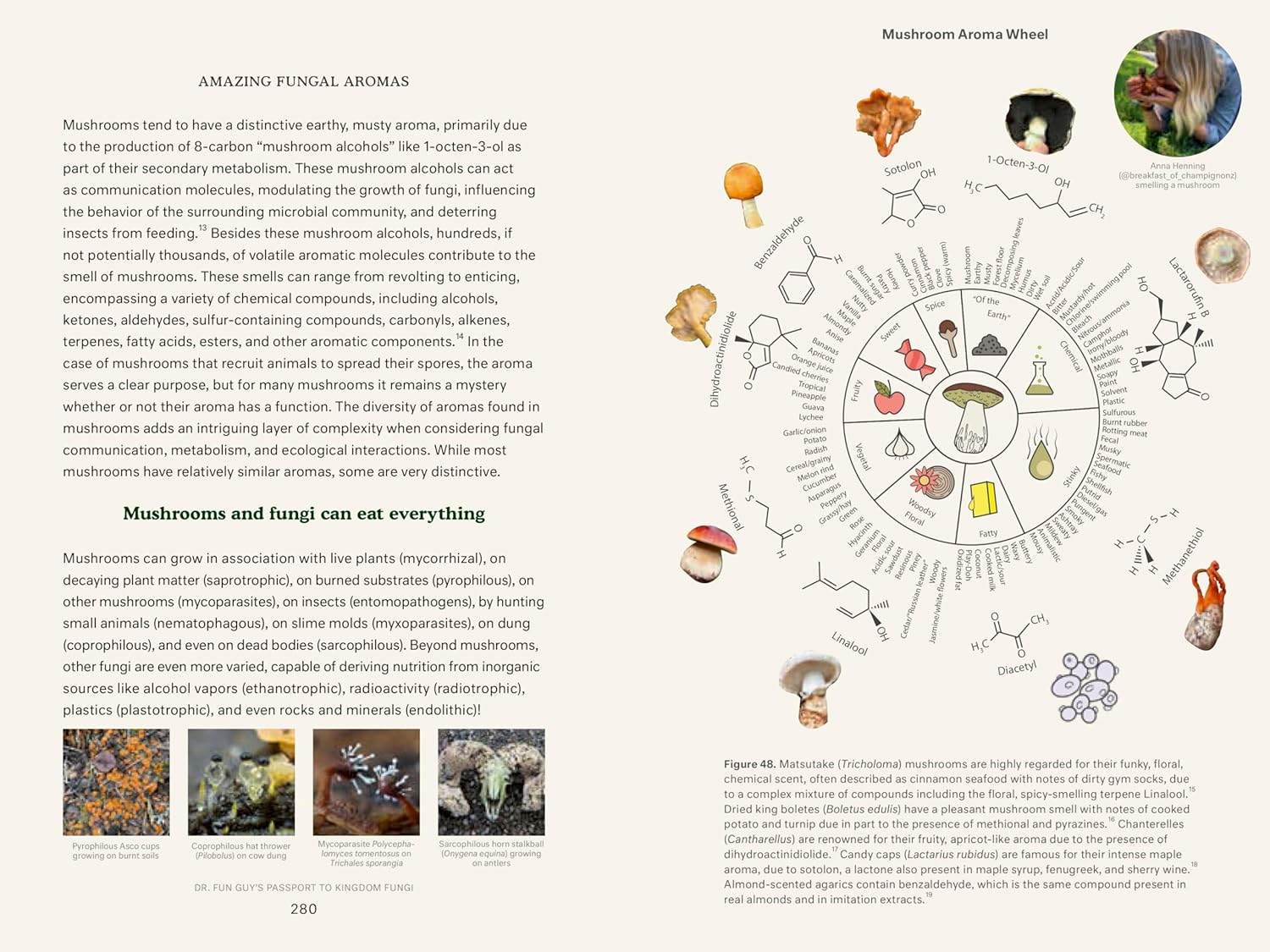 Dr. Fun Guy's Passport to Kingdom Fungi: A Scientist's Guide to the Wild and Wonderful World of Mushrooms, Molds, and More