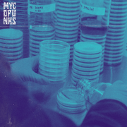Afterschool Mycology Club #2 - Agar & Liquid Culture W/ Chris @mycopunks (Digital Download)