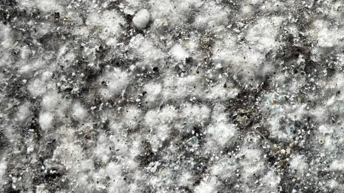 Step 12: Surface Conditions
