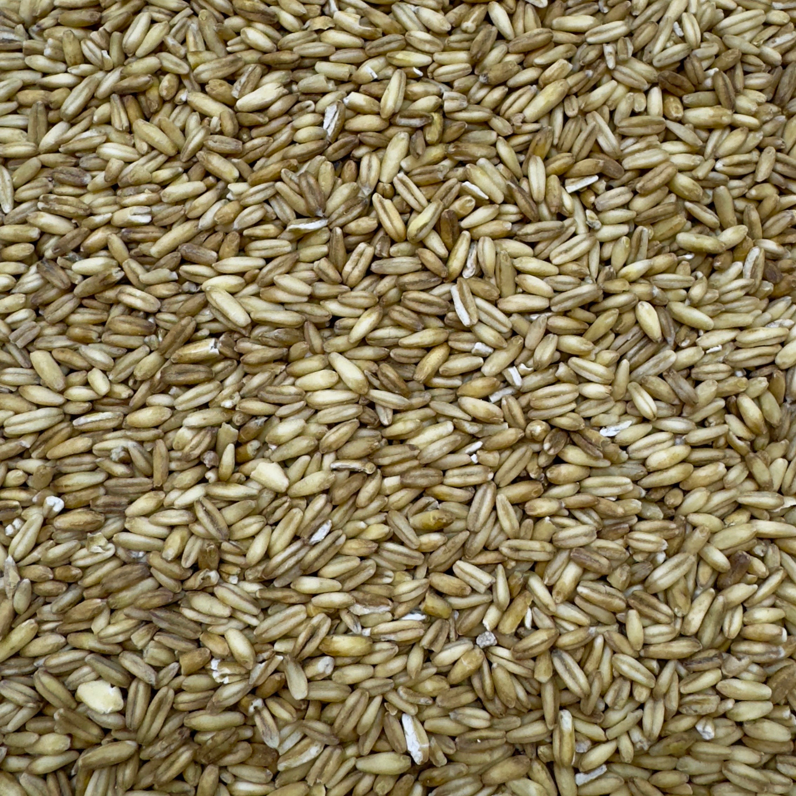 Close-up picture of some groats