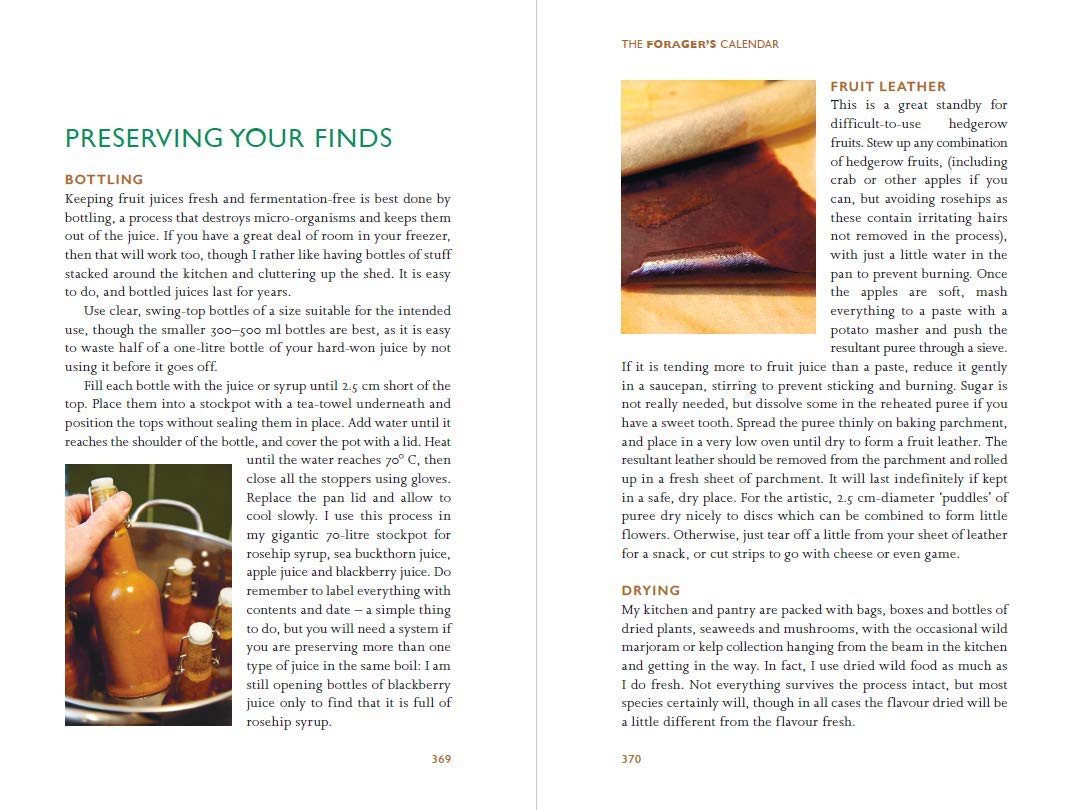 MycoPunks - The Forager's Calendar: A Seasonal Guide to Nature’s Wild Harvests - Book