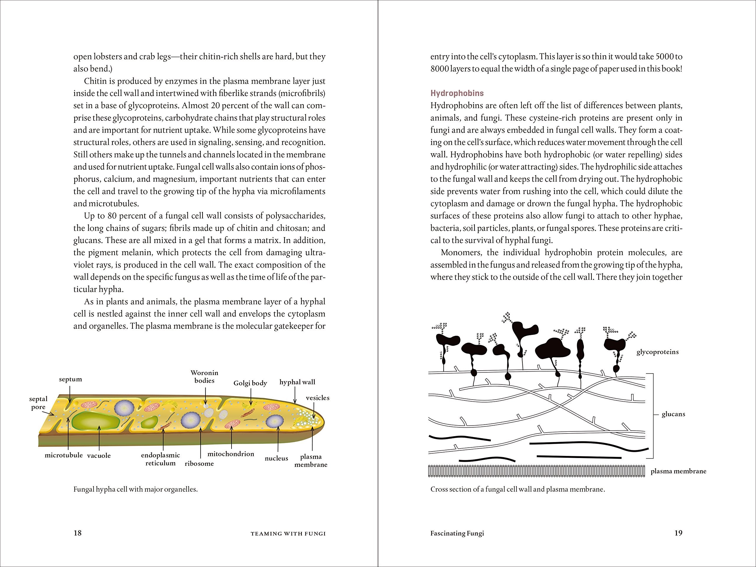 MycoPunks - Teaming with Fungi: The Organic Grower's Guide to Mycorrhizae (Science for Gardeners) (Hardcover) - Book
