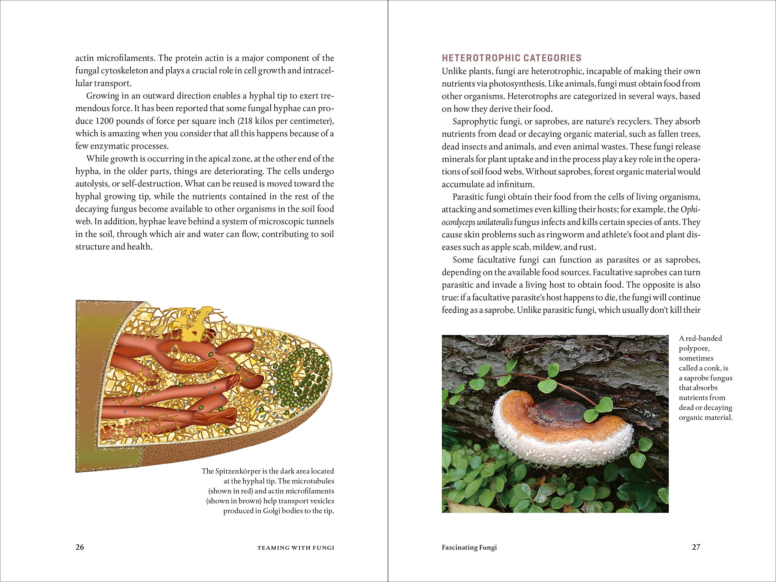 MycoPunks - Teaming with Fungi: The Organic Grower's Guide to Mycorrhizae (Science for Gardeners) (Hardcover) - Book