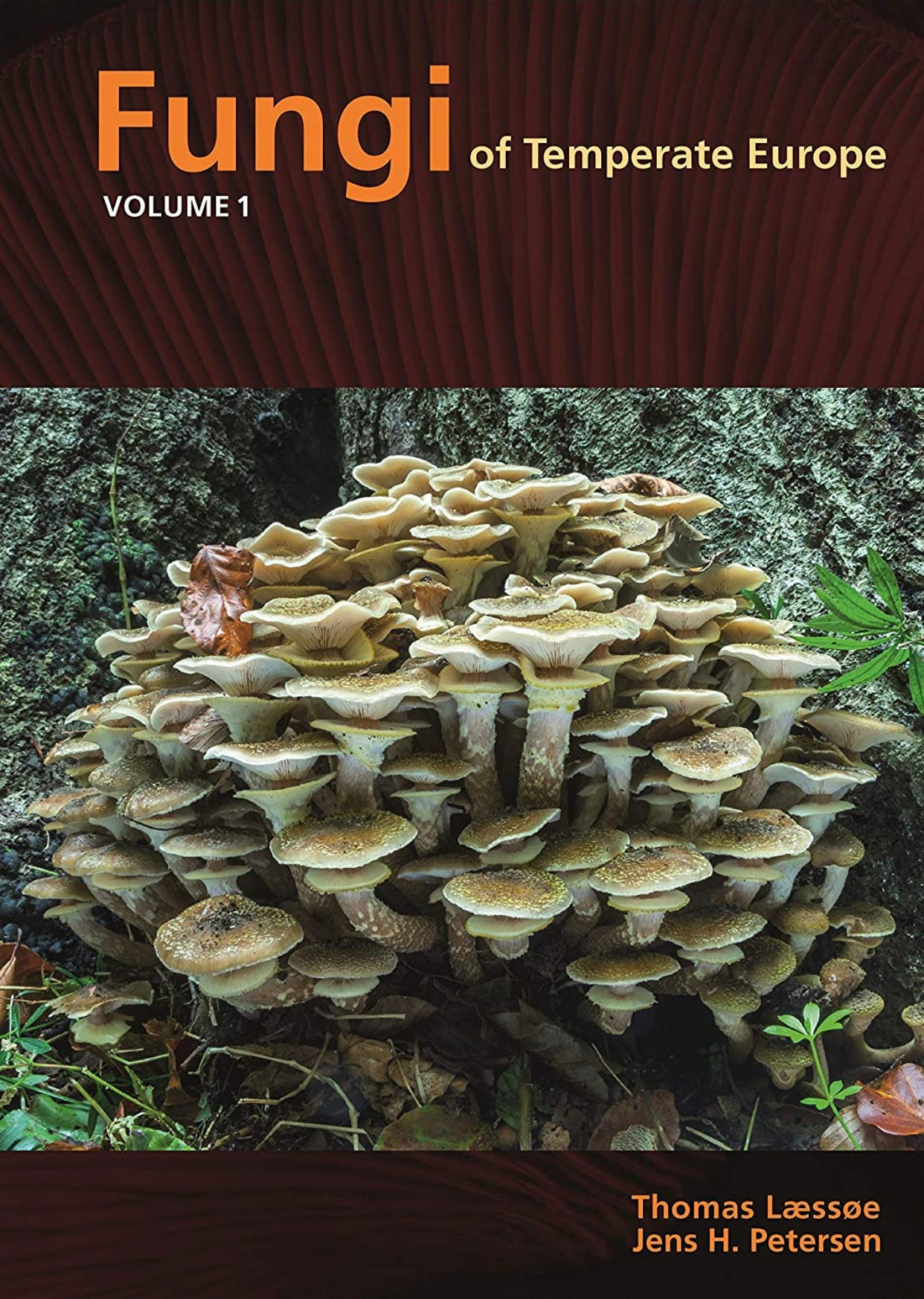 MycoPunks - Fungi of Temperate Europe volumes 1 + 2 - Book